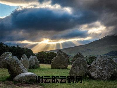 谢云歆云鹤厉（谢云歆云鹤厉）全文在线阅读无弹窗大结局_(谢云歆云鹤厉在线阅读)最新章节列表_笔趣阁（谢云歆云鹤厉）