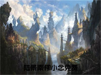 陆景南柳小念完整版 陆景南柳小念小说全文在线阅读