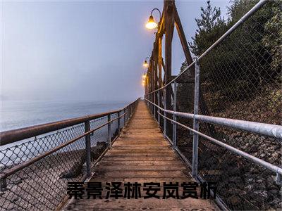 秦景泽林安岚（秦景泽林安岚）全文免费阅读无弹窗_秦景泽林安岚最新小说_笔趣阁（秦景泽林安岚）