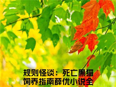 规则怪谈：死亡黑猫饲养指南薛优小说免费(规则怪谈：死亡黑猫饲养指南薛优)全文免费阅读无弹窗（规则怪谈：死亡黑猫饲养指南薛优小说）最新章节列表_笔趣阁