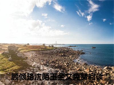 顾倾珞沈陌玉(顾倾珞沈陌玉)全文免费阅读无弹窗大结局_(顾倾珞沈陌玉)小说免费阅读最新章节列表