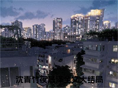 沈青竹夜晟泽全文免费阅读无弹窗大结局-沈青竹夜晟泽全文在线阅读