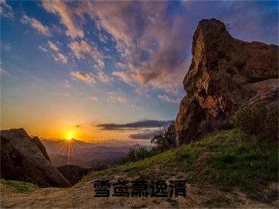 小说《雪鸢萧逸清》全文免费阅读无弹窗-雪鸢萧逸清小说全文在线赏析_笔趣阁