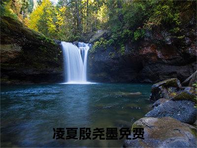 凌夏殷尧墨（凌夏殷尧墨）全文免费阅读-小说凌夏殷尧墨最新章节阅读笔趣阁