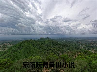 宋阮阮傅景川（宋阮阮傅景川）全文免费阅读无弹窗大结局_宋阮阮傅景川完整版小说阅读