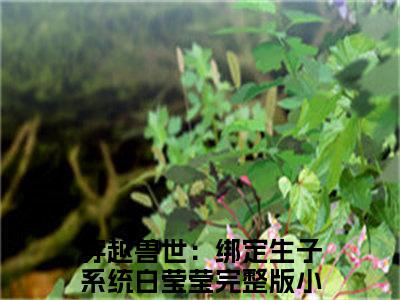 穿越兽世：绑定生子系统白莹莹（穿越兽世：绑定生子系统白莹莹）全文免费阅读-（穿越兽世：绑定生子系统白莹莹无弹窗阅读）最新章节小说免费阅读