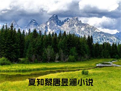 夏知黎唐昱澜(夏知黎唐昱澜)全文在线夏知黎唐昱澜读无弹窗大结局_夏知黎唐昱澜在线读无弹窗最新章节列表_笔趣阁