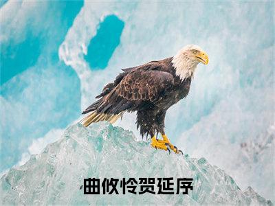 小说曲攸怜贺延序全文阅读-（曲攸怜贺延序）小说曲攸怜贺延序大结局