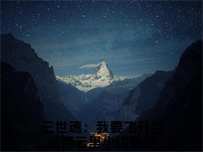 三世魂：我要飞升当仙帝云里(三世魂：我要飞升当仙帝云里)小说免费阅读-三世魂：我要飞升当仙帝云里全文阅读-笔趣阁（三世魂：我要飞升当仙帝云里）