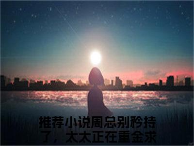 姜南星周醉（姜南星周醉）小说在线阅读_姜南星周醉全本免费小说阅读（周总别矜持了，太太正在重金求子）