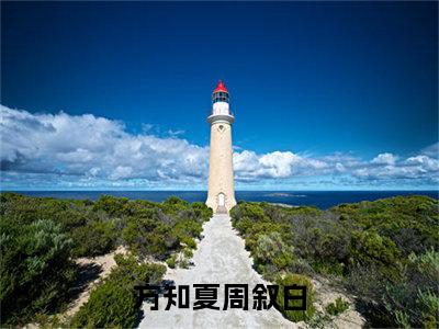 方知夏周叙白(方知夏周叙白)全文免费阅读无弹窗大结局_方知夏周叙白小说（方知夏周叙白）最新章节列表笔趣阁（方知夏周叙白）