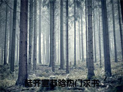 陆齐宣苏晗（陆齐宣苏晗）全文免费阅读无弹窗大结局_陆齐宣苏晗完整版小说阅读