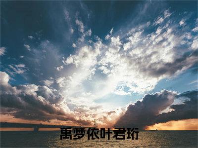 《热门小说禹梦依叶君珩》最新章节by禹梦依叶君珩完整版在线阅读