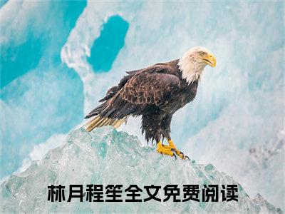 缘起缘灭，早已注定全文免费阅读_（林月程笙免费阅读无弹窗）缘起缘灭，早已注定最新章节列表笔趣阁