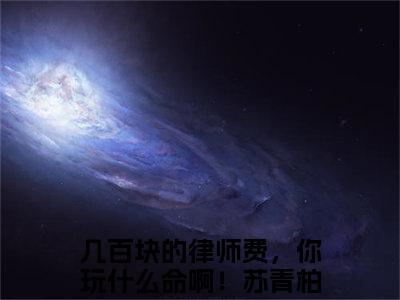 几百块的律师费，你玩什么命啊！苏青柏（几百块的律师费，你玩什么命啊！苏青柏）全文免费阅读无弹窗大结局_几百块的律师费，你玩什么命啊！苏青柏完整版小说阅读