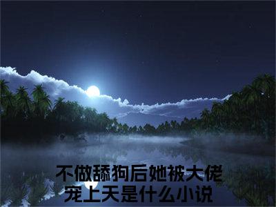 宋瑾沈渊（不做舔狗后她被大佬宠上天）免费阅读无弹窗大结局_（不做舔狗后她被大佬宠上天）宋瑾沈渊最新章节列表_笔趣阁