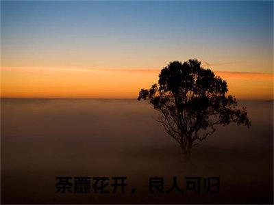 裴允夏景占南全文免费阅读大结局荼蘼花开，良人可归最新章节列表