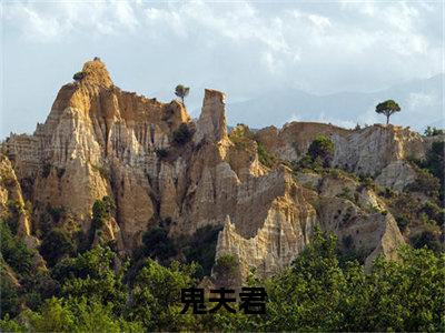 鬼夫君免费小说-鬼夫君完结版在线阅读