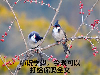 精选热门季宴舟骆柠全文无删减版在线阅读