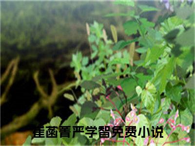 崔菡菁严学智全文免费阅读无弹窗大结局_ 崔菡菁严学智最新章节列表笔趣阁