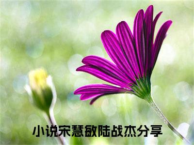 宋慧敏陆战杰(宋慧敏陆战杰)全文免费阅读无弹窗大结局_宋慧敏陆战杰免费阅读无弹窗最新章节列表_笔趣阁