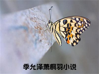 季允泽萧桐羽全本资源免费阅读结局无删节主角：季允泽萧桐羽小说全文阅读无弹窗