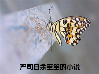 严司白余笙笙（严司白余笙笙）全文免费阅读无弹窗大结局_严司白余笙笙热门小说最新章节阅读