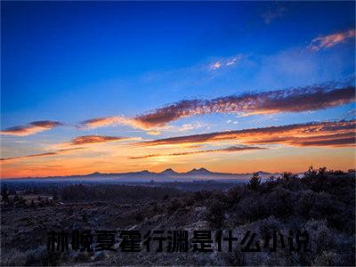 小说《林晚夏霍行渊》全文免费阅读无弹窗-林晚夏霍行渊小说全文在线赏析_笔趣阁