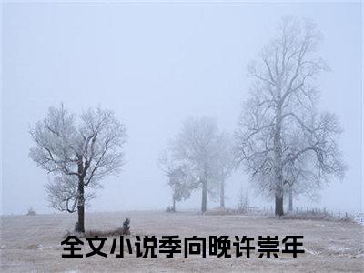 季向晚许崇年全文(季向晚许崇年)全文免费阅读无弹窗大结局_ 季向晚许崇年全文免费阅读最新章节列表