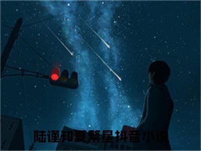 陆谨知夏繁星小说（陆谨知夏繁星）全文免费阅读无弹窗_陆谨知夏繁星全文免费阅读无弹窗最新章节列表