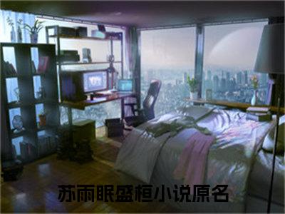 苏雨眠盛桓小说(苏雨眠盛桓)全文免费阅读无弹窗大结局_(苏雨眠盛桓)小说章节列表