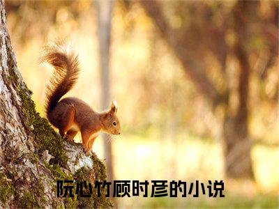 阮心竹顾时彦小说全文(阮心竹顾时彦)全文免费阅读无弹窗大结局_ 阮心竹顾时彦全文免费阅读最新章节列表