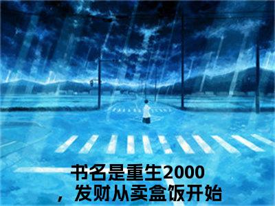 重生2000，发财从卖盒饭开始何文琳(重生2000，发财从卖盒饭开始何文琳)全文在线阅读无弹窗_重生2000，发财从卖盒饭开始何文琳小说全文大结局