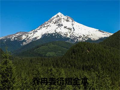 乔冉姜衍熠全文免费阅读无弹窗大结局_(乔冉姜衍熠)免费阅读全文无弹窗_