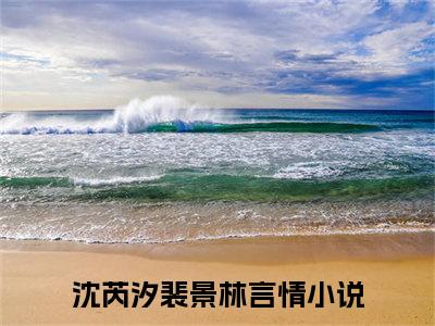 沈芮汐裴景林完整版（沈芮汐裴景林小说）全文免费阅读无弹窗大结局_沈芮汐裴景林最新章节（沈芮汐裴景林全文）