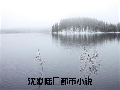 沈姒陆璟（沈姒陆璟）全文免费阅读无弹窗_沈姒陆璟最新小说精彩推荐