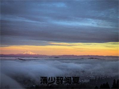 薄少辞闻夏（薄少辞闻夏）最新完结免费阅读-（薄少辞闻夏）悬疑小说在线阅读