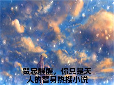 贺总醒醒，你只是夫人的替身（司黎贺时晏）全文免费阅读无弹窗大结局-贺总醒醒，你只是夫人的替身免费阅读全文大结局-笔趣阁