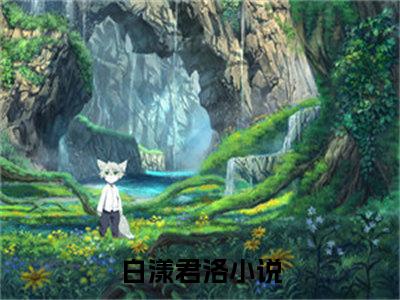 白漾君洛（白漾君洛）全文免费阅读无弹窗大结局_（白漾君洛）白漾君洛免费阅读最新章节列表笔趣阁（白漾君洛）