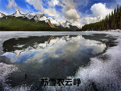 苏雪衣云峥（苏雪衣云峥小说）全文免费阅读无弹窗大结局_苏雪衣云峥全文免费阅读（苏雪衣云峥小说）最新章节列表_笔趣阁