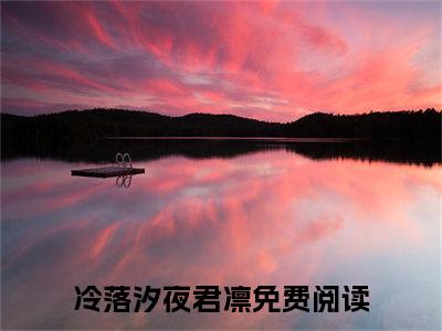 冷落汐夜君凛小说（冷落汐夜君凛最新全章节大结局）冷落汐夜君凛全文阅读