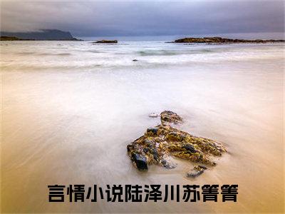 陆泽川苏箐箐(陆泽川苏箐箐)小说免费阅读无弹窗大结局_(陆泽川苏箐箐)陆泽川苏箐箐最新章节列表笔趣阁（陆泽川苏箐箐）