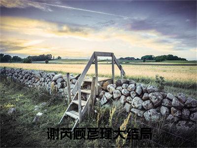 谢芮顾彦瑾（谢芮顾彦瑾）全文免费阅读无弹窗大结局_ (谢芮顾彦瑾小说全文免费阅读)最新章节列表_笔趣阁