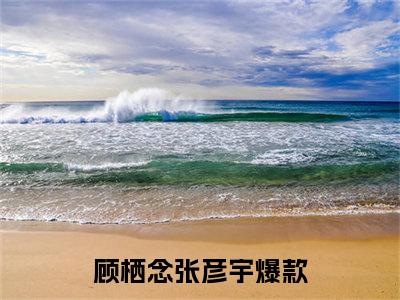 顾栖念张彦宇完结版小说全文在线免费阅读_顾栖念张彦宇最新章节列表_笔趣阁