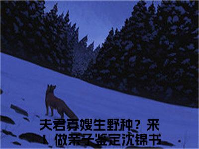 夫君寡嫂生野种？来！做亲子鉴定沈锦书抖音高赞小说 夫君寡嫂生野种？来！做亲子鉴定沈锦书全文无弹窗阅读