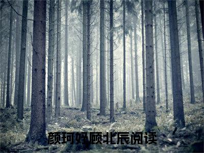 颜珂妤顾北辰全文免费阅读无弹窗-颜珂妤顾北辰小说全文在线阅读笔趣阁