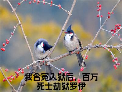 我含冤入狱后，百万死士劫狱罗伊小说全文免费阅读正版 我含冤入狱后，百万死士劫狱罗伊免费阅读无弹窗