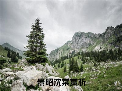 景昭沈棠全文免费阅读（景昭沈棠）全文无删减版在线阅读_景昭沈棠全文免费阅读最新章节列表_笔趣阁