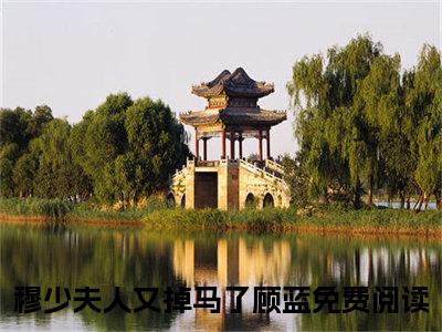 穆少夫人又掉马了顾蓝小说（穆少夫人又掉马了顾蓝）全文免费阅读无弹窗大结局_穆少夫人又掉马了顾蓝小说最新章节列表_笔趣阁（穆少夫人又掉马了顾蓝）