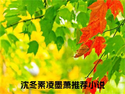 福运医妃旺夫命，王爷越宠江山越稳（沈冬素凌墨萧）全文免费阅读无弹窗大结局_沈冬素凌墨萧全文在线阅读